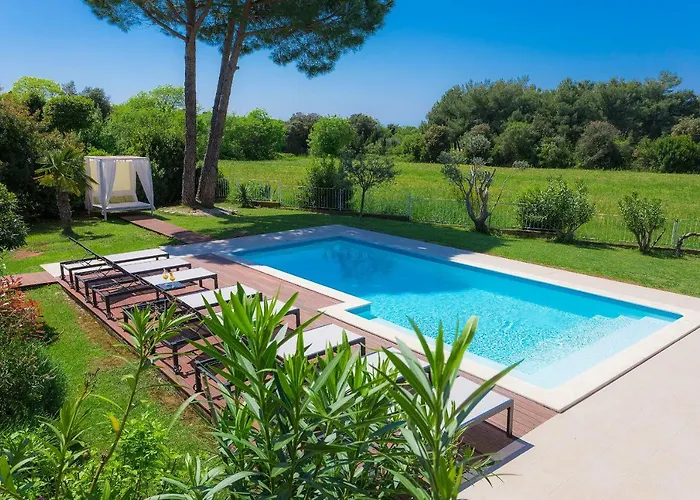 Astinian Puntizela Pola